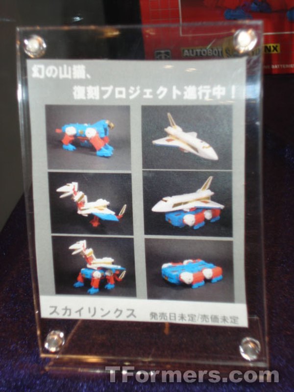 Takaratomy 015 (33 of 66)